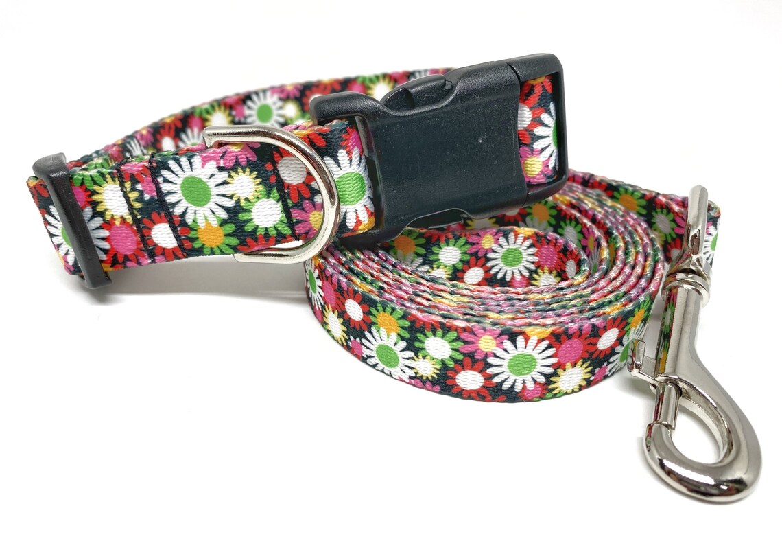 Daisy Dog Leash & Collar Set 3/4 Wide Floral Dog Etsy