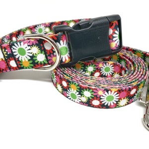 Daisy Dog Leash & Collar Set - 3/4&quot; wide - Floral dog collar