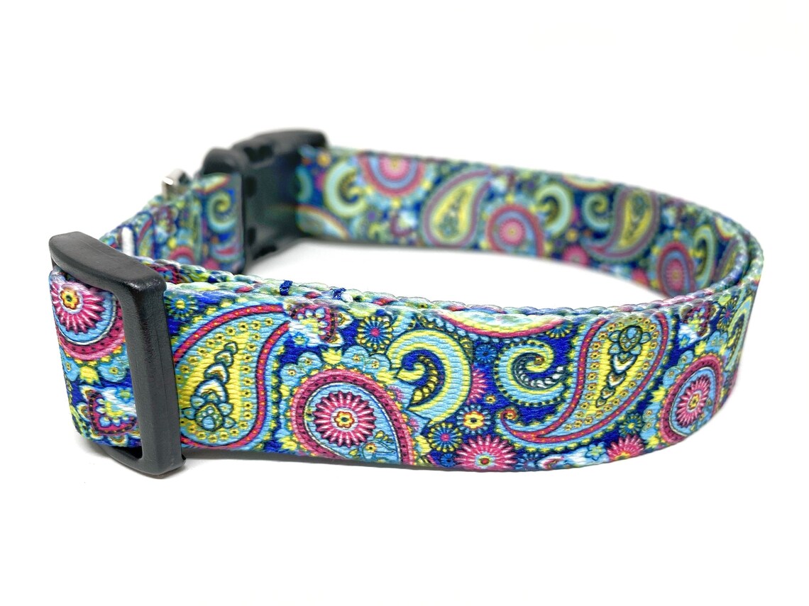 Paisley Dog Collar 1 Wide Colorful Summer Dog Collar to Etsy