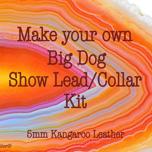 May include: An image with a vibrant orange and yellow background, resembling agate. Text overlay reads "Make your own Big Dog Show Lead/Collar Kit" and "5mm Kangaroo Leather". The Leads N Leather logo is in the bottom left corner.
