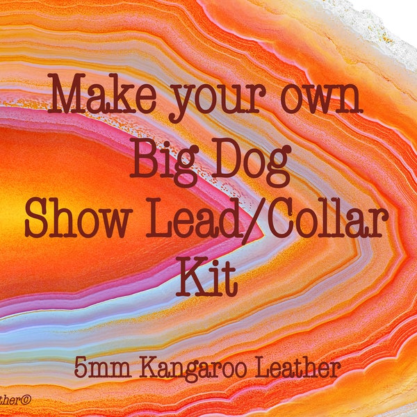 DIY Kangaroo leather lace  BIG Dog show lead kit