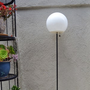 Vintage glass orb mid century atomic style floor lamp black and white with potted succulents and a stucco wall.