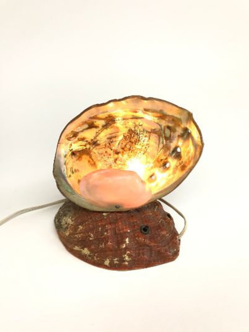 Vintage Abalone Shell Lamp Vintage Seashell Light Seashell Etsy