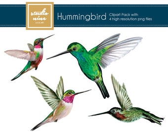 Download Hummingbird Svg Etsy