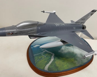 F-16 Viper 175th Fighter Sqdn South Dakota ANG- Detailed Scale Model- 1/48 scale