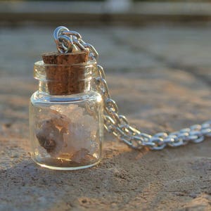 Purple & Clear Quartz Crystals In A Bottle Necklace