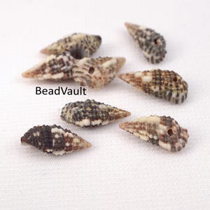 Black White Beach Shell Beads, Bumpy Conch Shell Beads, Natural Shells, Jewelry Making Supply, Destash Shell Beads, DIY Craft Supplies (Z5)