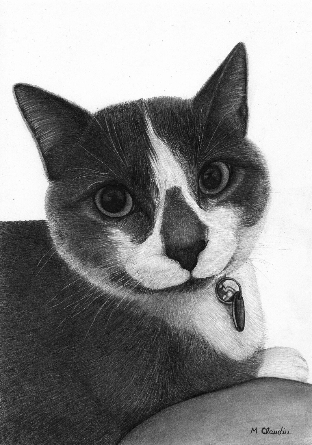 pet-pencil-drawing-from-your-photo-a4-etsy