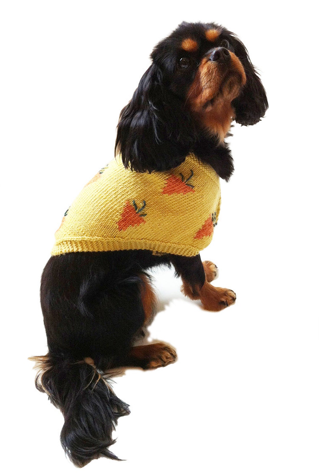 Knitting Pattern '9 Carrot Gold' Knitted Dog Shawl / Bolero / Jumper ...