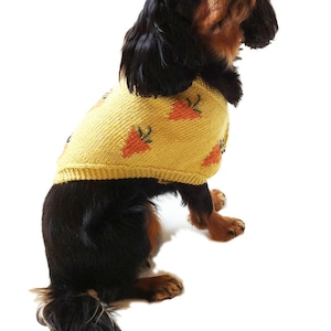 Puede incluir: Un perro Cavalier King Charles Spaniel negro y marrón con un suéter de punto amarillo con diseños de zanahorias naranjas.