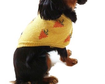 Knitting Pattern '9 Carrot Gold' Knitted Dog Shawl / Bolero / jumper PDF Download