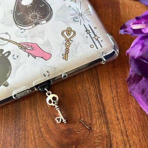 Kindle charm, USB-C dust plug, Kindle decor, e-reader charm, bookish gift, gift for her, phone charm, Kindle Paperwhite, Halloween skeleton