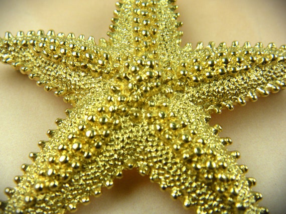 Signed Monet Starfish Brooch - image 1