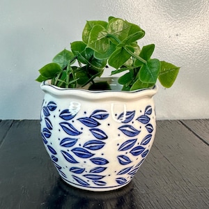 May include: A white ceramic planter with a blue leaf pattern and a scalloped rim. The planter contains a green leafy plant. The planter is sitting on a black surface against a gray wall.