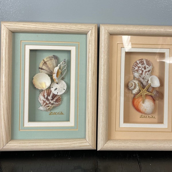 Framed Shell Art Etsy