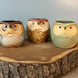 May include: Three ceramic owl figurines in shades of brown, blue, and green sit on a wooden slab. Each owl has detailed facial features and a round body. The owls are decorative items, possibly for home decor or as collectibles.