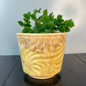 May include: A yellow ceramic planter with a leafy green plant inside. The planter has a textured design of leaves.