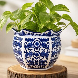 Puede incluir: Una maceta de cer&aacute;mica decorativa con un dise&ntilde;o floral azul y blanco, que contiene una planta verde. La maceta se encuentra sobre un posavasos redondo de madera. La combinaci&oacute;n crea una composici&oacute;n decorativa.