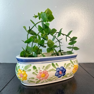 May include: A white ceramic planter with a blue rim and floral design. The planter has yellow, pink, and blue flowers painted on it. A green plant is growing in the planter.