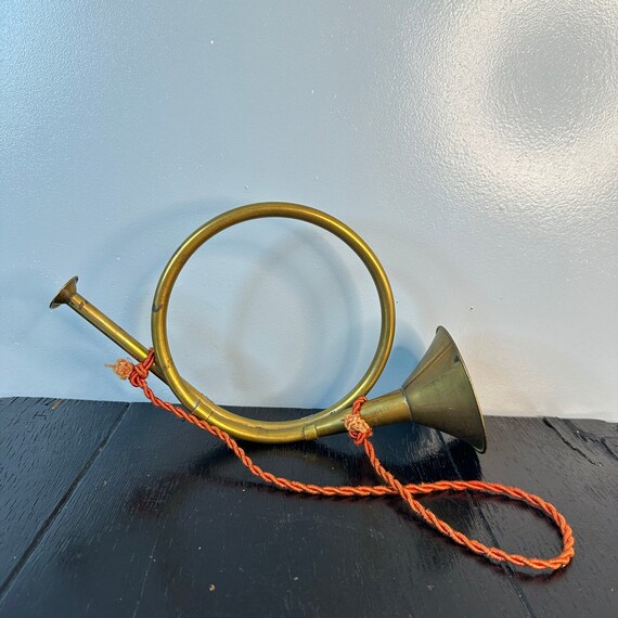 Kudu Horn – Unique Natural Home Décor Accent - DEW111