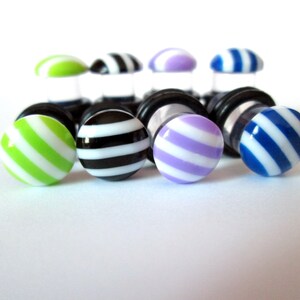 Clearance - Plugs - Striped Dots Black, Navy, Purple or Green - 4g, 2g and 0g