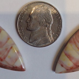 Willow Creek Jasper Custom-Cut Mirror Image Pink Cream Yellow Donald K Olson Gem Designer Good for Earrings image 2