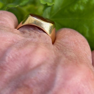 May include: A gold signet ring with a red gemstone. The ring is worn on a finger.