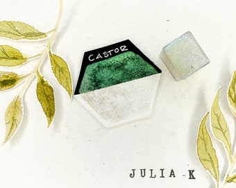 Castor- handmade watercolor paint
