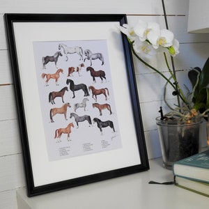 Art Print Animal Collection Horses by Julia Källén