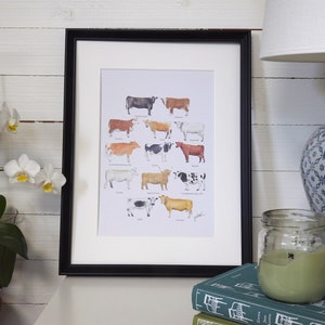 Art Print Animal Collection Cows by Julia Källén
