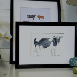 Cow breed: Holstein Original watercolor illustration Julia Källén