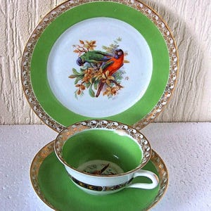 Royal Epiag Exotic Birds Czechoslovakia Green and Gold Cup Saucer & side plate with Vienna Beehive mark and Gold Swan Border