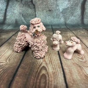 Pink Spaghetti Poodle - Etsy