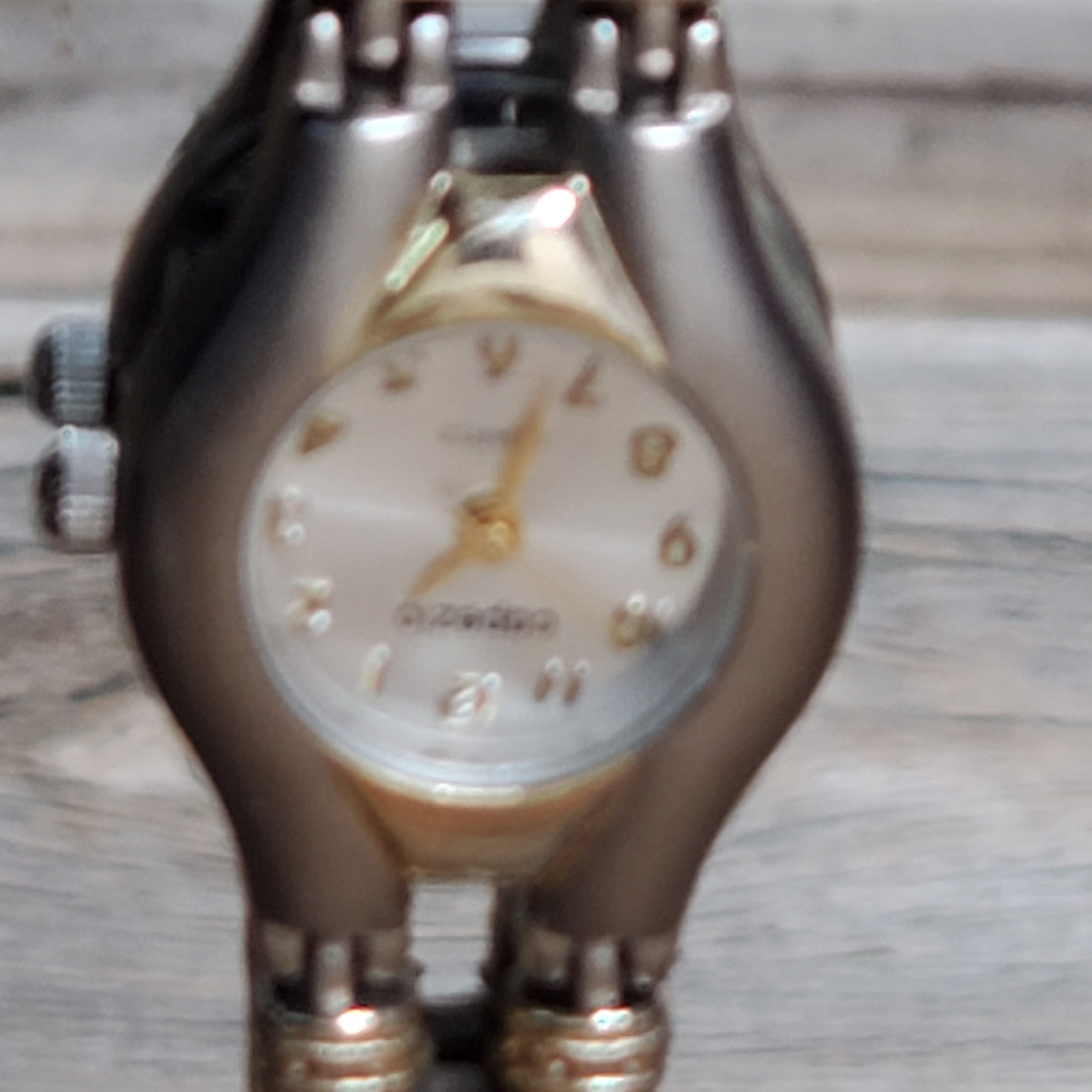 Capezio Ladies Watch-brushed Stainless Steel With Gold 