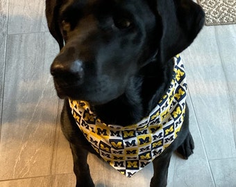 May include: A black Labrador Retriever wearing a white bandana with a yellow and blue pattern of the letter "M".