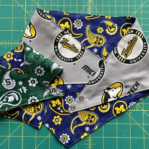House Divided Snap On Dog/Cat Bandana
