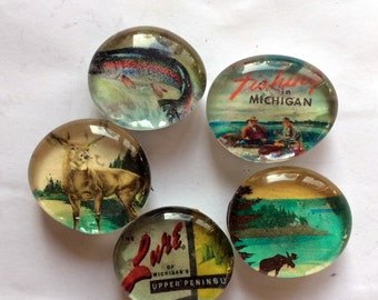 UP Sportsman Glass Magnet Set