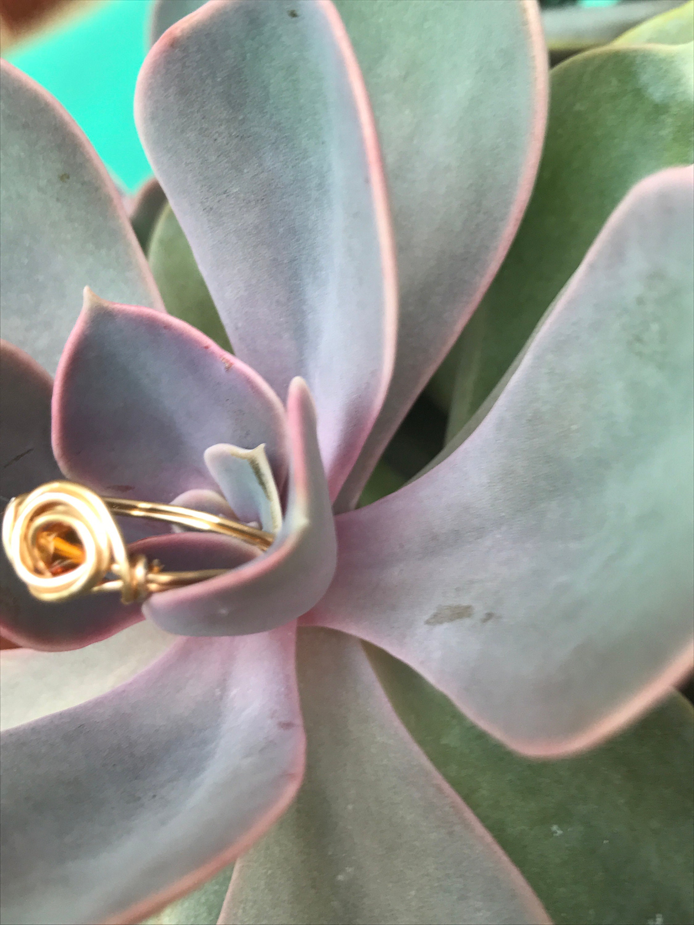August Birthstone Collar - Peridot