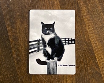 Magnet Black and White Tuxedo Cat Snow Cattitude Photography Home Decor Office Decor