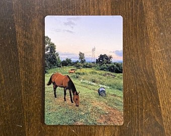 Magnet Horses Western Rustic Cowboy Cowgirl Farm Landscape Photography Home Decor Office Decor