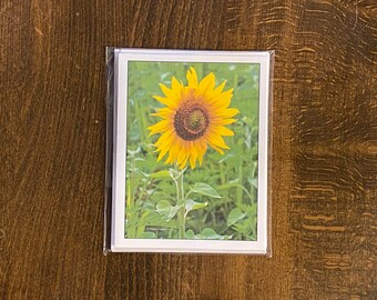 Note Card Set Sunflower