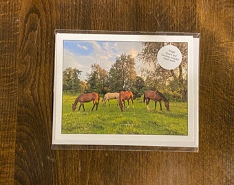 Note Card Horses Grazing Farm Landscape Western Photography Stationery