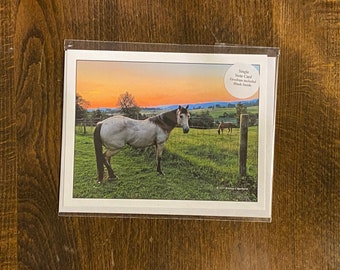Note Card Buckskin Horse Sunset Farm Western Landscape Photography Stationery