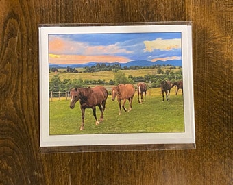 Note Card Horses Farm Landscape Western Photography Stationery