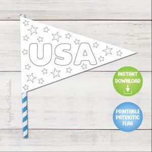 Patriotic Printable Pennant Flag - 4th of July Craft