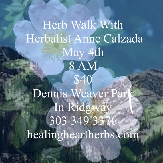 Herb Walk 2024 With Herbalist Anne Calzada