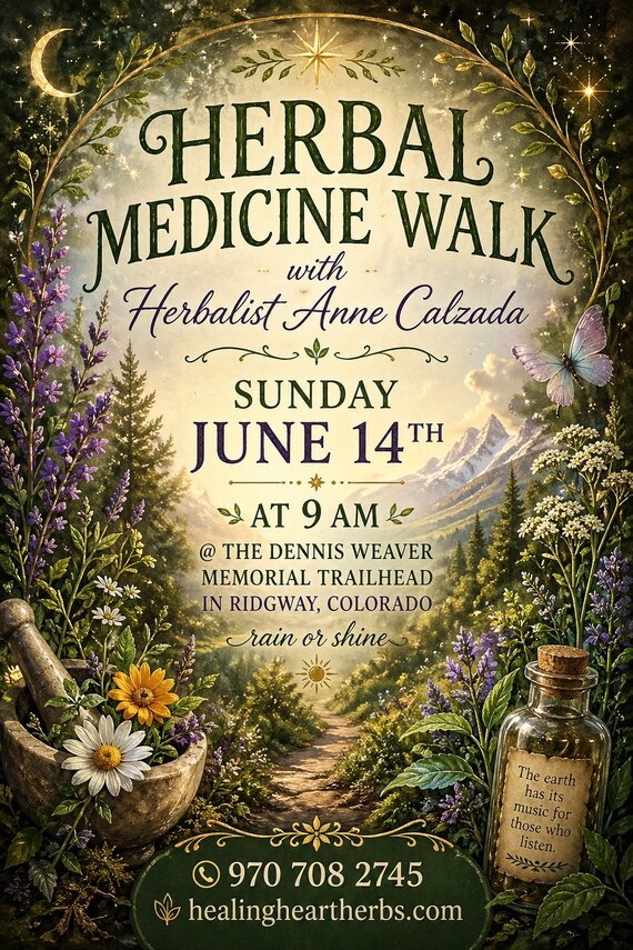Herbal Medicine Walk With Herbalist Anne Calzada