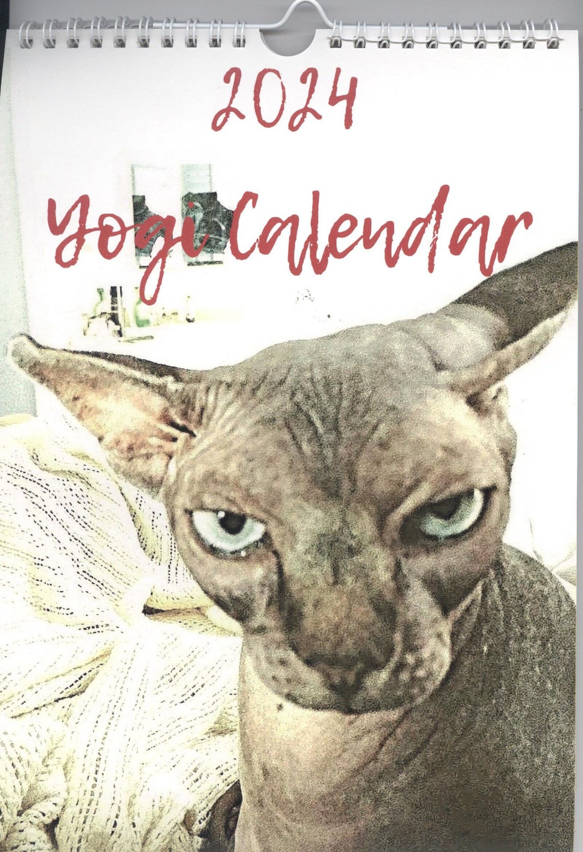 2024 Yogi, the Sphynx Cat Calendar 8x11 Vertical Etsy