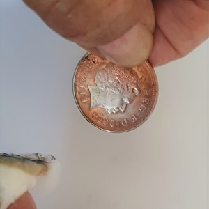 Op de afbeelding: Een koperen Britse munt van &eacute;&eacute;n pond met de afbeelding van koningin Elizabeth II en het jaar 2002 op de voorzijde.