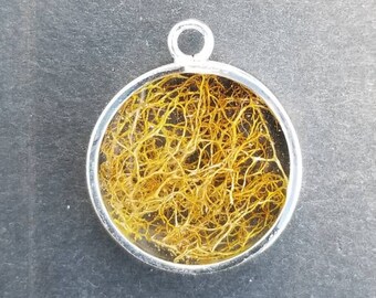 Small Moss Pendant